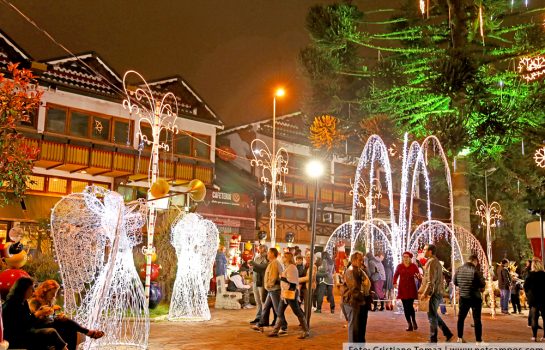 Thiago Gimenez – Fundação Lia Maria Aguiar