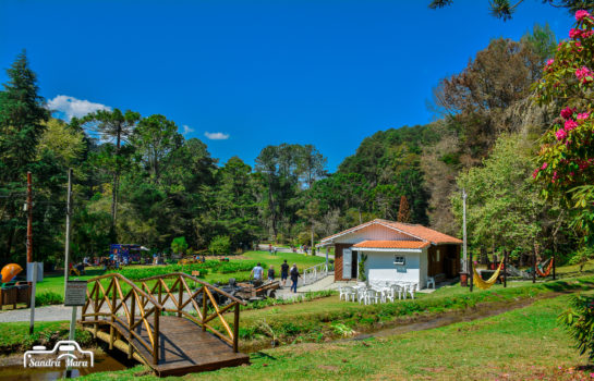 Parque Estadual Horto Florestal