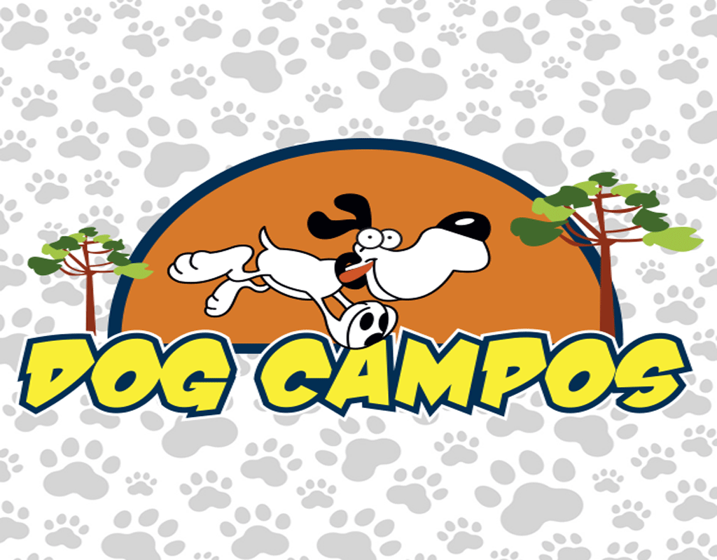 Dog Campos – Pet Hotel e Escola