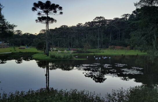 Semana do Meio Ambiente vai ter oficinas, trilhas e mutirões de limpeza em Campos do Jordão