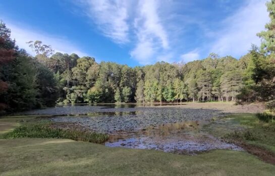 “Cuidar da Mantiqueira” é tema da Semana do Meio Ambiente em Campos do Jordão