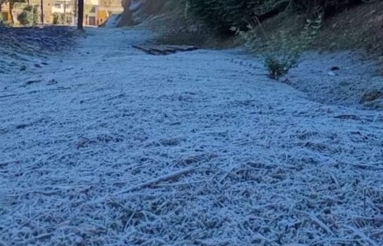 Frio de rachar! Campos do Jordão registra primeira geada de 2025