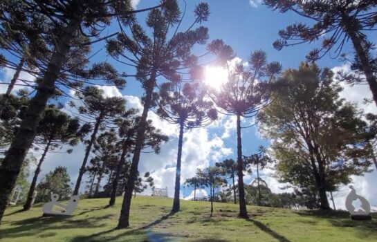 Música ao pôr do sol é destaque do projeto “Férias no Museu”
