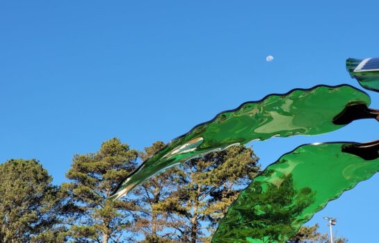 Campos do Jordão ganha “Floresta Líquida”