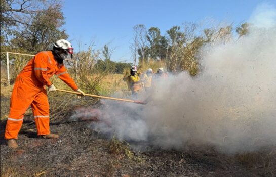 Operação SP Sem Fogo reforça Defesa Civil com kits anti-incêndios