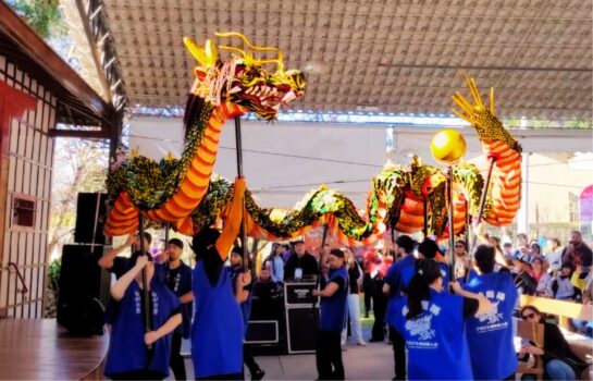 Festa da Cerejeira recebe a Dança do Dragão, espetáculo único no Brasil