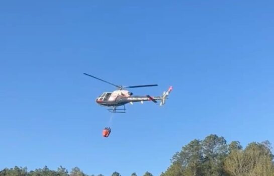 Incêndio florestal é controlado em Campos do Jordão