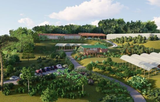 Santo Antônio do Pinhal abriga projeto exemplar de conservação e turismo ecológico na Serra da Mantiqueira