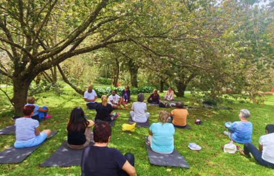 Amanhecer Zen: Parque da Cerejeira estreia aulas de yoga ao ar livre em Campos do Jordão