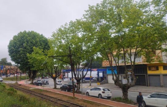 Início da semana tem clima frio, neblina e chuvas isoladas em Campos do Jordão e em várias áreas do Sudeste