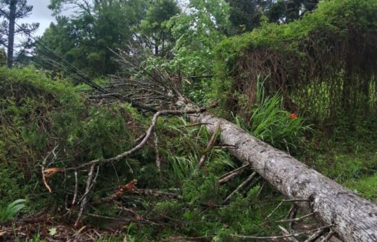 Chuvas causam transtornos em Campos do Jordão