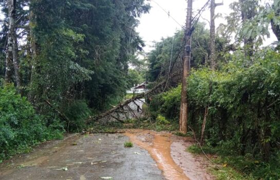 10 mil pessoas continuam sem energia elétrica em Campos do Jordão