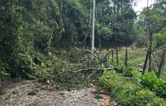 Após chuvas e ventania, rotina em Campos do Jordão está quase normalizada