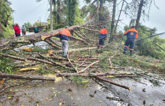 Defesa Civil encerra gabinete de crise com 218 ocorrências
