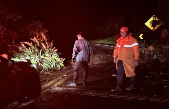 Chuvas causam quedas de árvores e de barreiras nos acessos a Campos do jordão