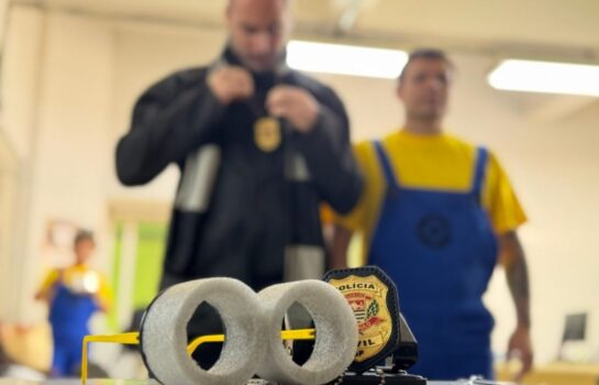 Policiais fantasiados de “Minions” prendem quatro suspeitos durante Carnaval em São Paulo
